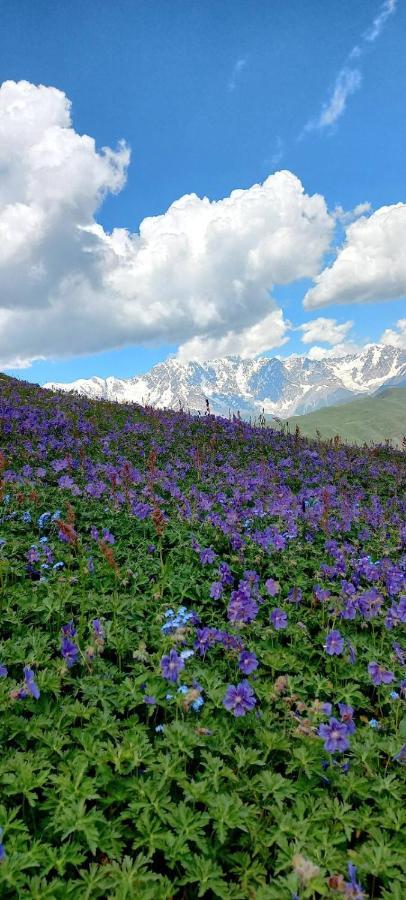 Ushguli Hotel Riho 외부 사진